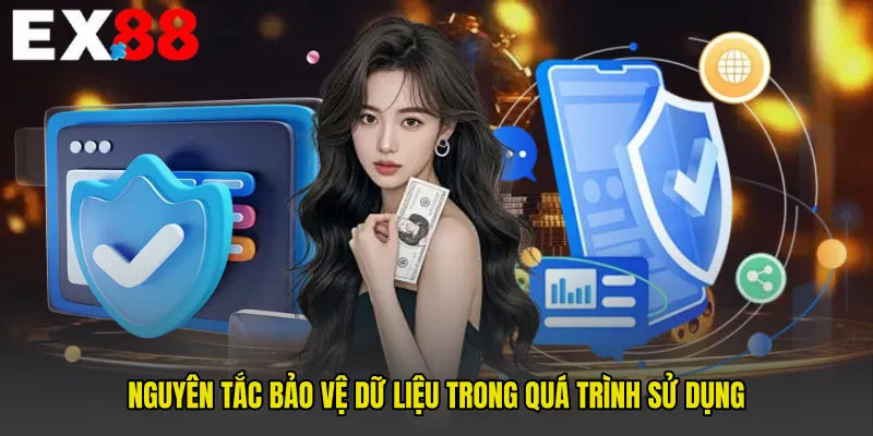Nguyên tắc bảo vệ dữ liệu trong quá trình sử dụng